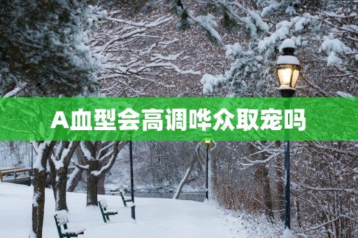 A血型会高调哗众取宠吗