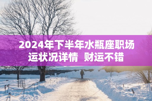 2025年下半年水瓶座职场运状况详情  财运不错