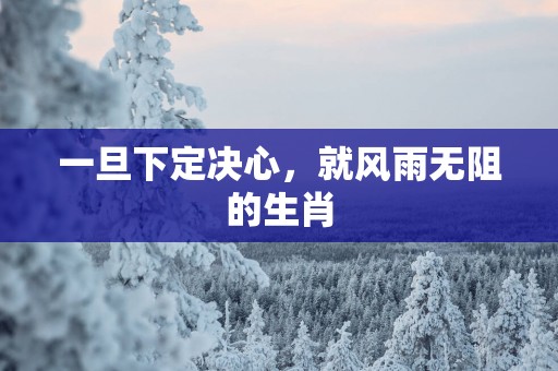 一旦下定决心，就风雨无阻的生肖