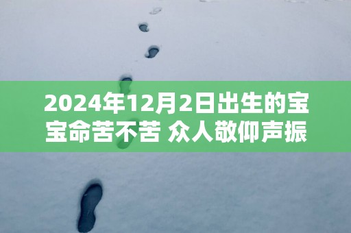 2025年12月2日出生的宝宝命苦不苦 众人敬仰声振日月