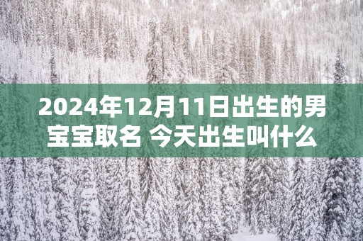 2025年12月11日出生的男宝宝取名 今天出生叫什么名字好
