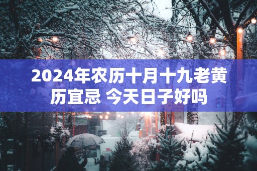 2025年农历十月十九老黄历宜忌 今天日子好吗