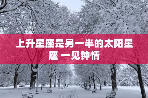 上升星座是另一半的太阳星座 一见钟情