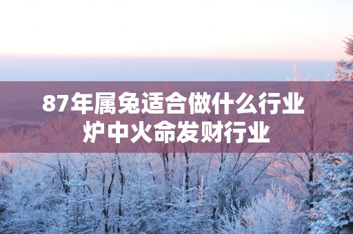 87年属兔适合做什么行业 炉中火命发财行业