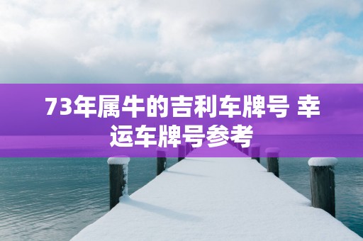 73年属牛的吉利车牌号 幸运车牌号参考