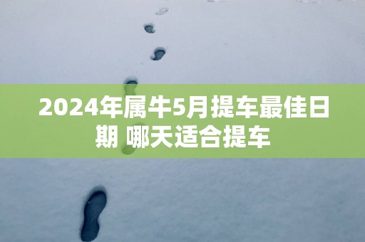 2025年属牛5月提车最佳日期 哪天适合提车