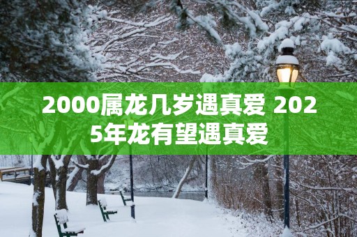 2000属龙几岁遇真爱 2025年龙有望遇真爱