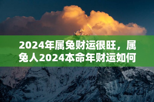 2025年属兔财运很旺，属兔人2025本命年财运如何