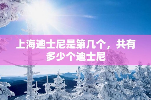 上海迪士尼是第几个，共有多少个迪士尼