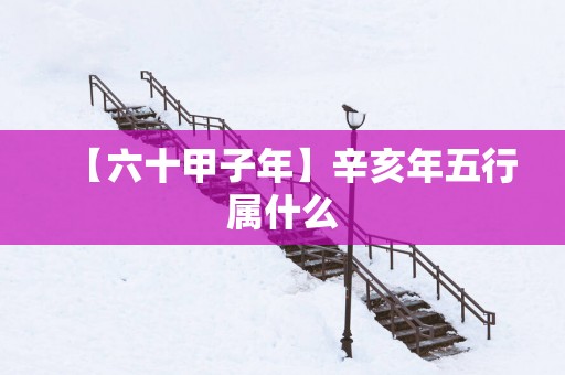 【六十甲子年】辛亥年五行属什么