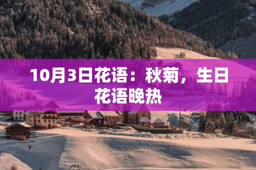 10月3日花语：秋菊，生日花语晚热