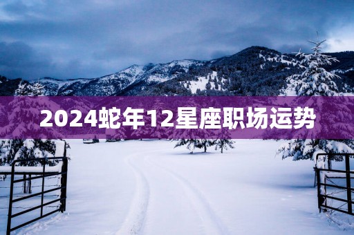 2025蛇年12星座职场运势
