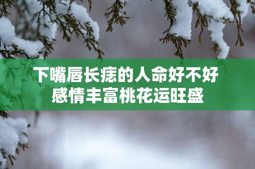 下嘴唇长痣的人命好不好 感情丰富桃花运旺盛
