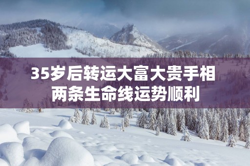 35岁后转运大富大贵手相 两条生命线运势顺利