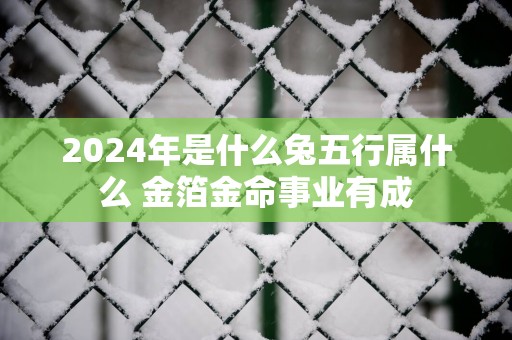 2025年是什么兔五行属什么 金箔金命事业有成