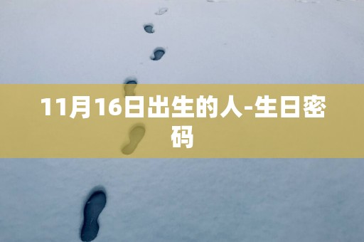 11月16日出生的人-生日密码