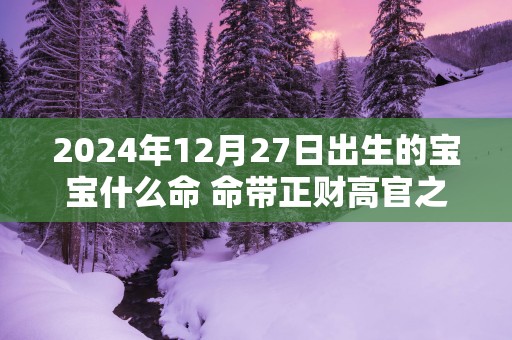 2025年12月27日出生的宝宝什么命 命带正财高官之命
