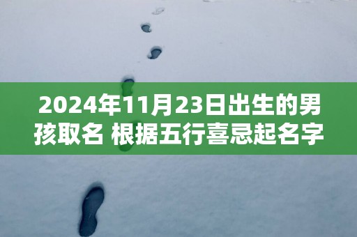 2025年11月23日出生的男孩取名 根据五行喜忌起名字网