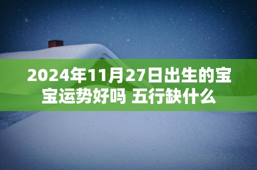 2025年11月27日出生的宝宝运势好吗 五行缺什么