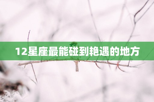 12星座最能碰到艳遇的地方