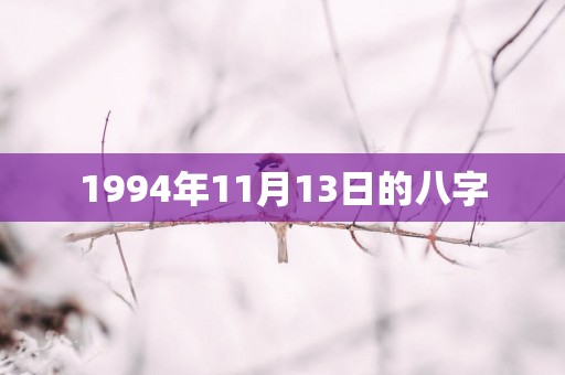 1994年11月13日的八字