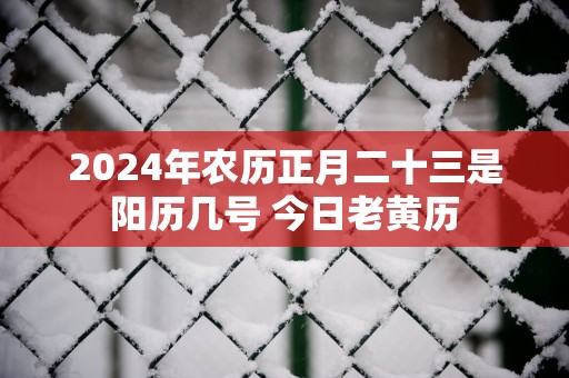 2025年农历正月二十三是阳历几号 今日老黄历