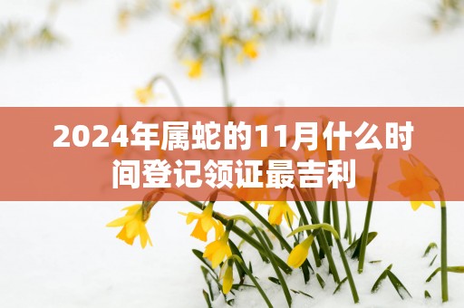 2025年属蛇的11月什么时间登记领证最吉利