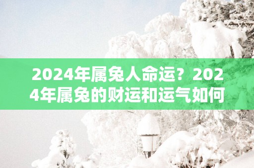 2025年属兔人命运？2025年属兔的财运和运气如何