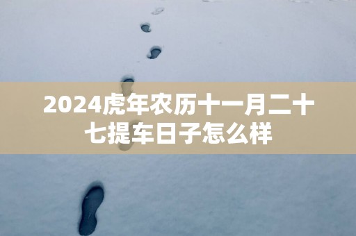 2025蛇年农历十一月二十七提车日子怎么样