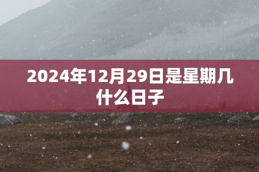 2025年12月29日是星期几什么日子