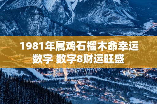 1981年属鸡石榴木命幸运数字 数字8财运旺盛