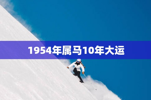 1954年属马10年大运