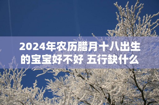 2025年农历腊月十八出生的宝宝好不好 五行缺什么