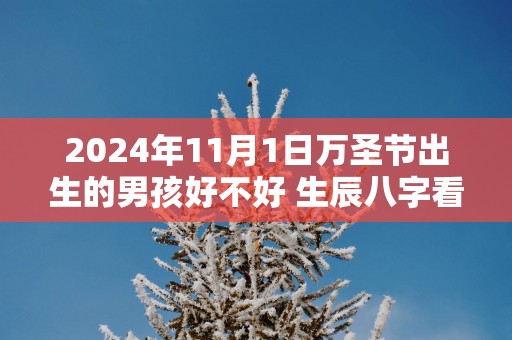 2025年11月1日万圣节出生的男孩好不好 生辰八字看命