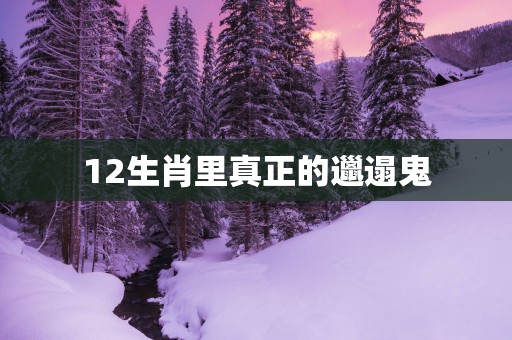 12生肖里真正的邋遢鬼
