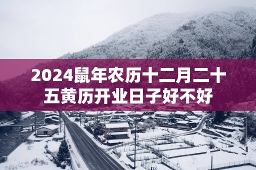 2025蛇年农历十二月二十五黄历开业日子好不好