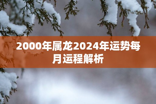 2000年属龙2025年运势每月运程解析