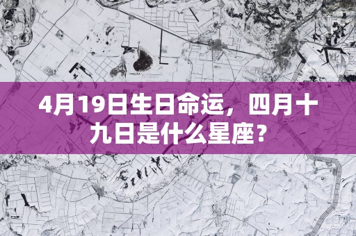 4月19日生日命运，四月十九日是什么星座？
