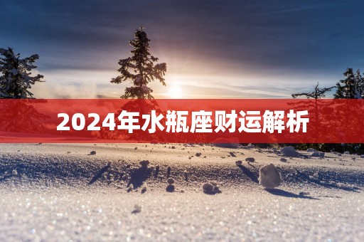 2025年水瓶座财运解析
