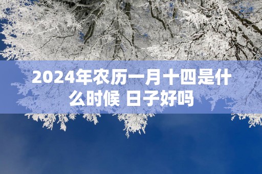 2025年农历一月十四是什么时候 日子好吗