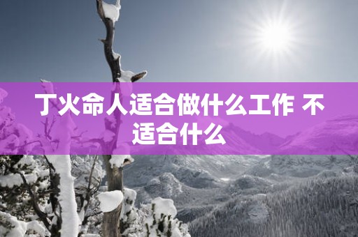 丁火命人适合做什么工作 不适合什么
