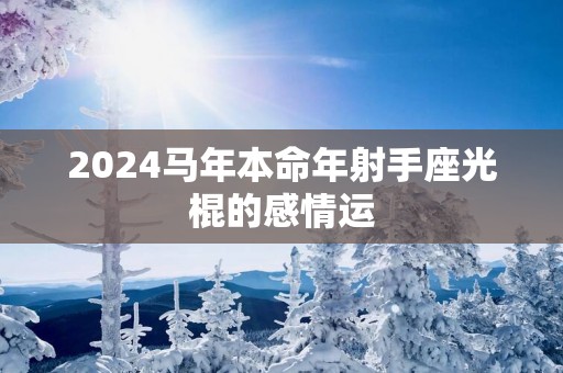 2025马年本命年射手座光棍的感情运