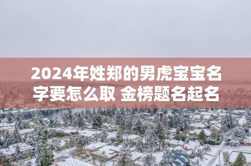 2025年姓郑的男虎宝宝名字要怎么取 金榜题名起名