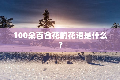 100朵百合花的花语是什么？