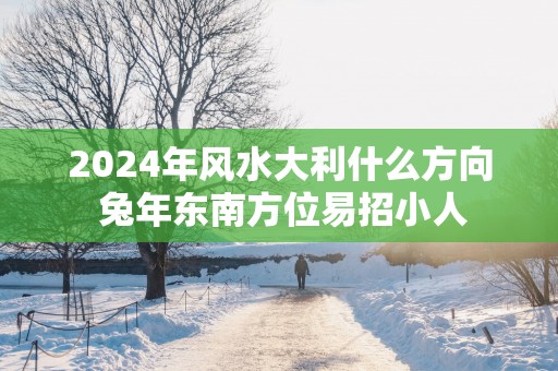 2025年风水大利什么方向 蛇年东南方位易招小人
