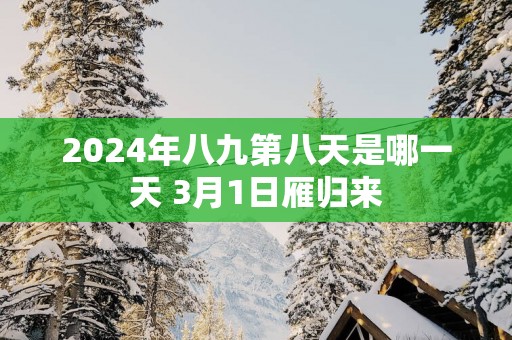 2025年八九第八天是哪一天 3月1日雁归来