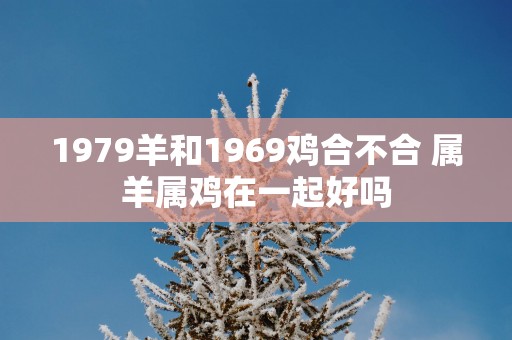 1979羊和1969鸡合不合 属羊属鸡在一起好吗