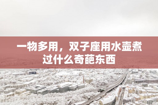 一物多用，双子座用水壶煮过什么奇葩东西