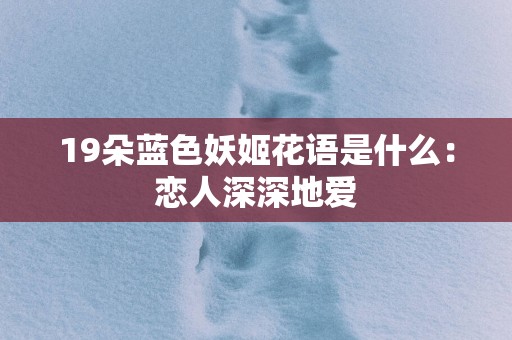 19朵蓝色妖姬花语是什么：恋人深深地爱