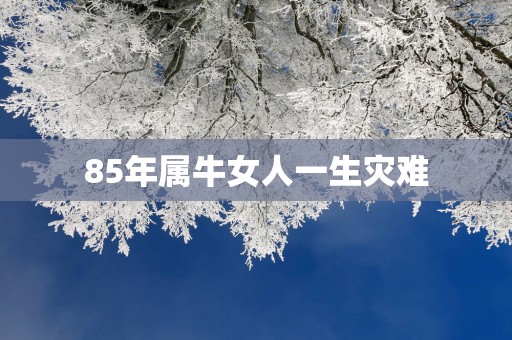 85年属牛女人一生灾难